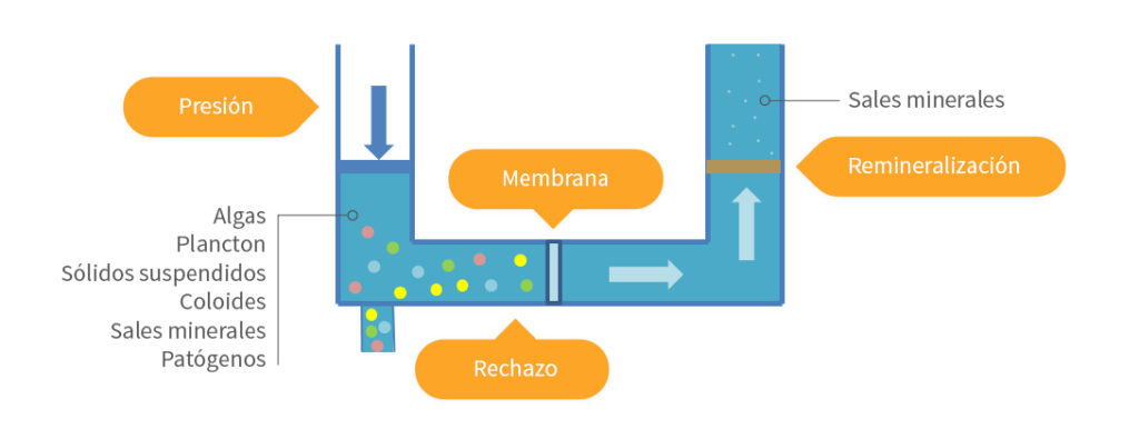 osmosis inversa